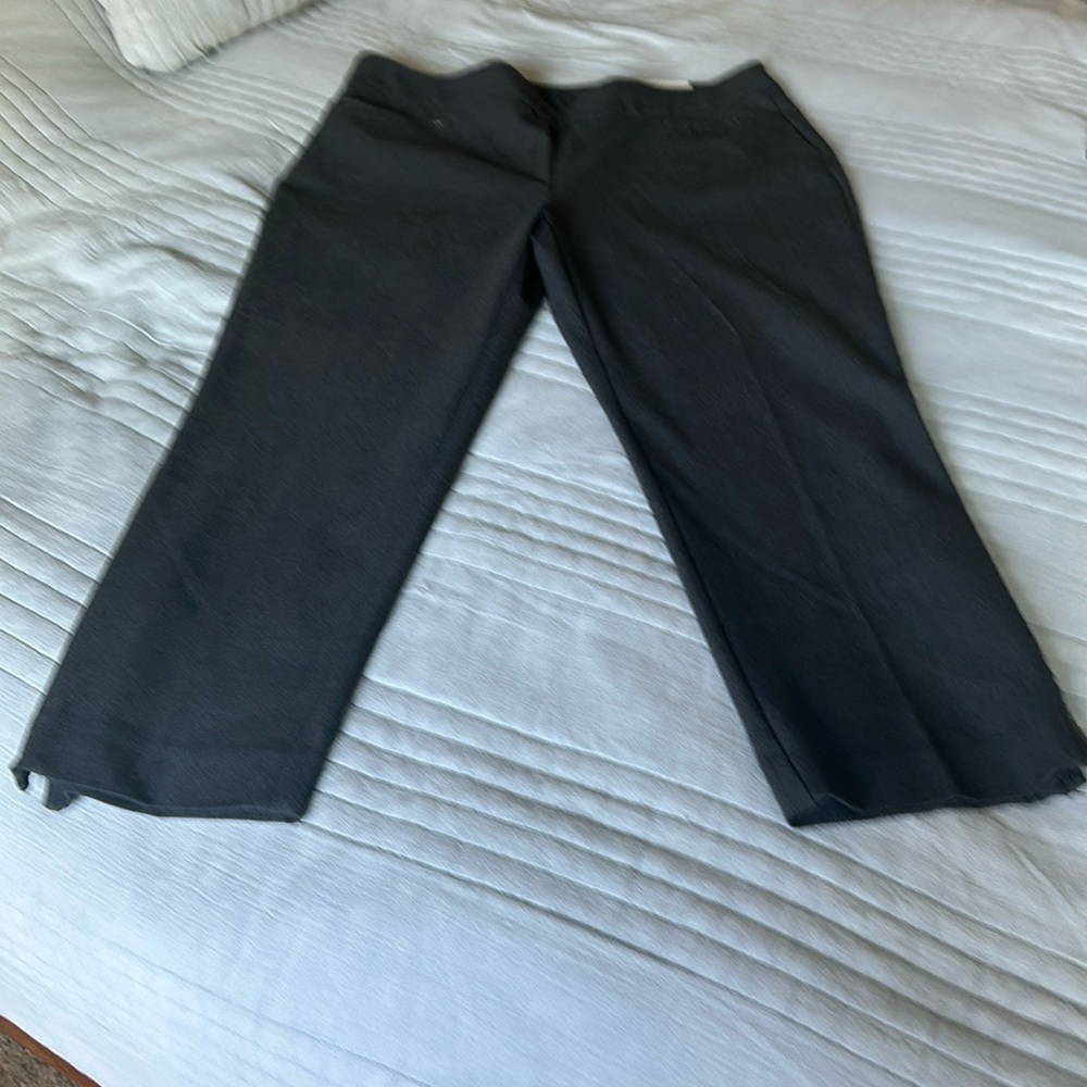 Chicos pants, size 3R